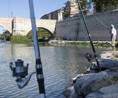 De pesca en el tramo urbano del Ebro a su paso por Zaragoza